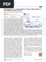 Gupta Et Al 2024 Overexpression of l d Transpeptidase a Induces Dispensability of Rod Complex in Escherichia Coli