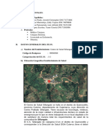 Trabajo Aplicativo Sillangate Telesalud