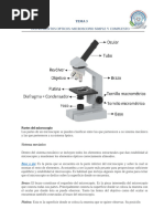 TEMA 3 MICROSCOPIO