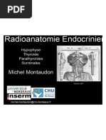 cerf.radiologie.fr(3)