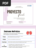 _Proyecto final enfermedades renales 1