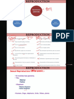 Biology Lecture 8