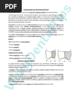 2. GENERALIDADES DE ANATOMIA DENTARIA