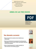 Arbol de Las Tres Raices