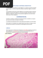 ANATO-HISTOLOGIA SISTEMA DIGESTIVO Maicol