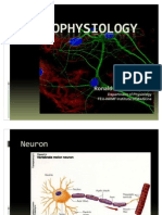 Neurophysiology Made Easy