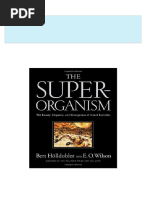 Full download The Superorganism The Beauty Elegance and Strangeness of Insect Societies 1st Edition Bert Hölldobler pdf docx