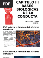 Bases Biologicas de La Conducta