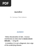 Jaundice Lecture