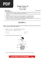 SAMPLE PAPER 7 2024 - 25