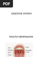 Digestive System