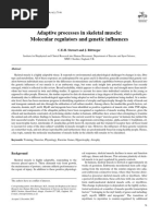 Adaptive processes in skeletal muscle - Molecular regulators and genetic influences