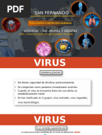 AULA 601 Y 602 - VIRUS 3s 42260 0