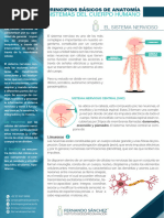 3. Sistema Nervioso