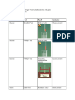 PRACTICAL_ Qualitative Testing of Proteins, Carbohydrates, and Lipids