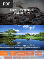 Environmental Pollution