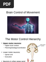 PSYC 376 Brain Control of Movement (2)