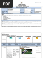 PLANIFICACION DE LAS INSERCIONES  - E.F.