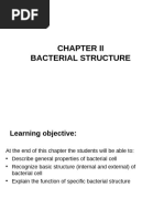 Chapter II Bacterial Structure