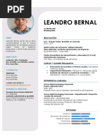 Curriculum Leandro Bernal