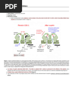 Non-selective Cox 1 2 Inhibitors [TUSOM Pharmwiki]