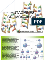 Mutaciones Cromosómicas