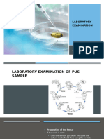 bacteriological eximaniation, GRAM + medium + antibiotics