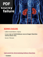 Renal Failure