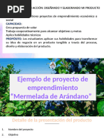 EJEMPLO DE Proyecto mermelada de Arándano 3° secundaria (2)