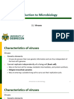 11_Viruses