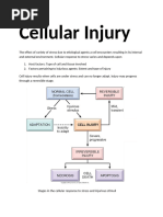 General Pathology Assignment