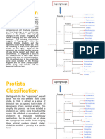 Practicum 1 Lab 2