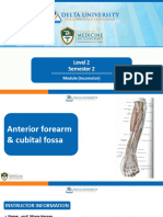 Anatomy l6