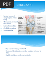 Anatomy of Knee Joint