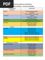 MÚSCULOS SEGÚN SU MOVIMIENTO