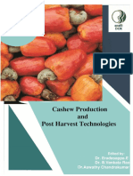 cashew production