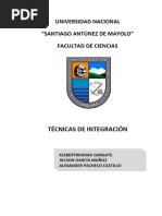 Manual Tecnicas de Integracion