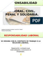 Responsabilidad Civil, Penal, Administrativa