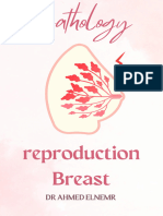 BREAST DISEASES 