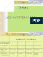 1o_ESO_TEMA_5_LOS_INVERTEBRADOS