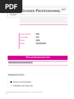Copie de Dossier Professionnel Version Traitement de Texte (1)
