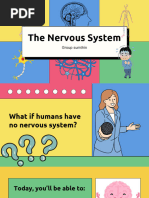 Nervous System