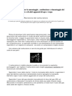 Smontaggio e Riparazione Motore e Di Altri Apparati Di Ape e Vespa