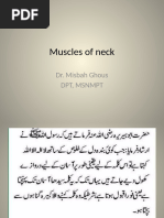 Lecture 4 Muscles of Neck