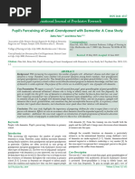 Pupils Perceiving of Greatgrandparent With Dementia a Case Study 