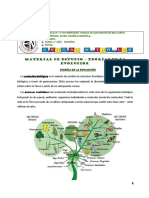 2024 - MATERIAL DE ESTUDIO - TEORIAS DE LA EVOLUCION 22