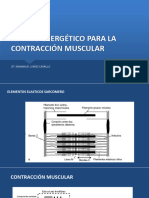 APORTE ENERGÉTICO PARA LA CONTRACCIÓN MUSCULAR