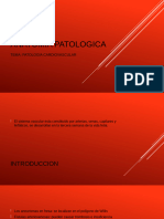 Patologia Cardiovascular (1)