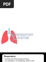 respiratory