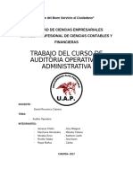 Auditor Operativo